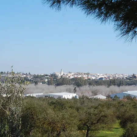 Hacienda Dos Olivos Country house Aznalcazar